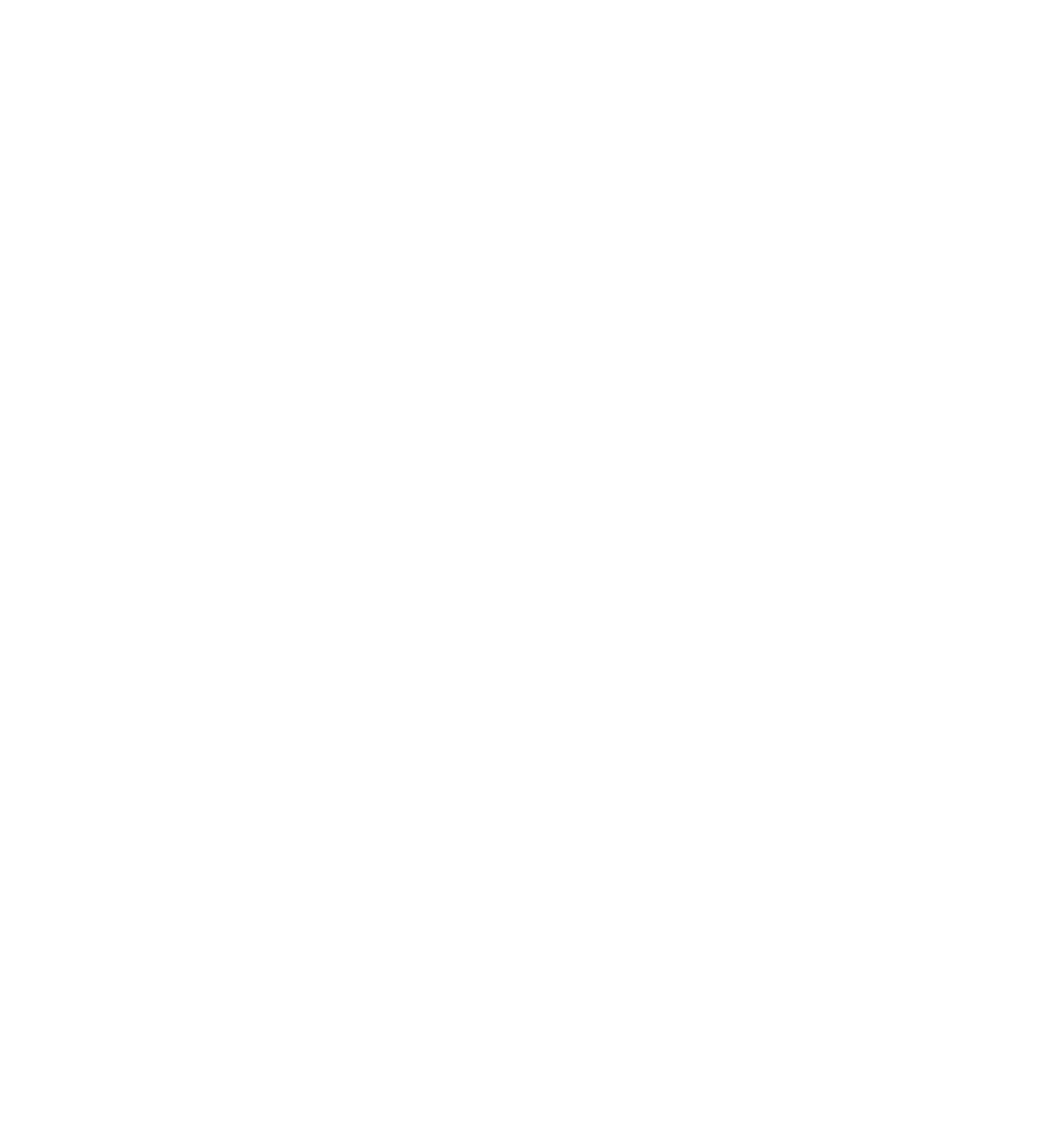 Logo de Supernetfx